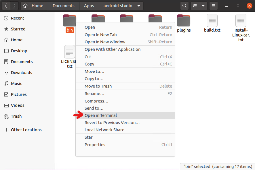 2020-07-06_AndroidStudio_Open_Bin_Terminal.png
